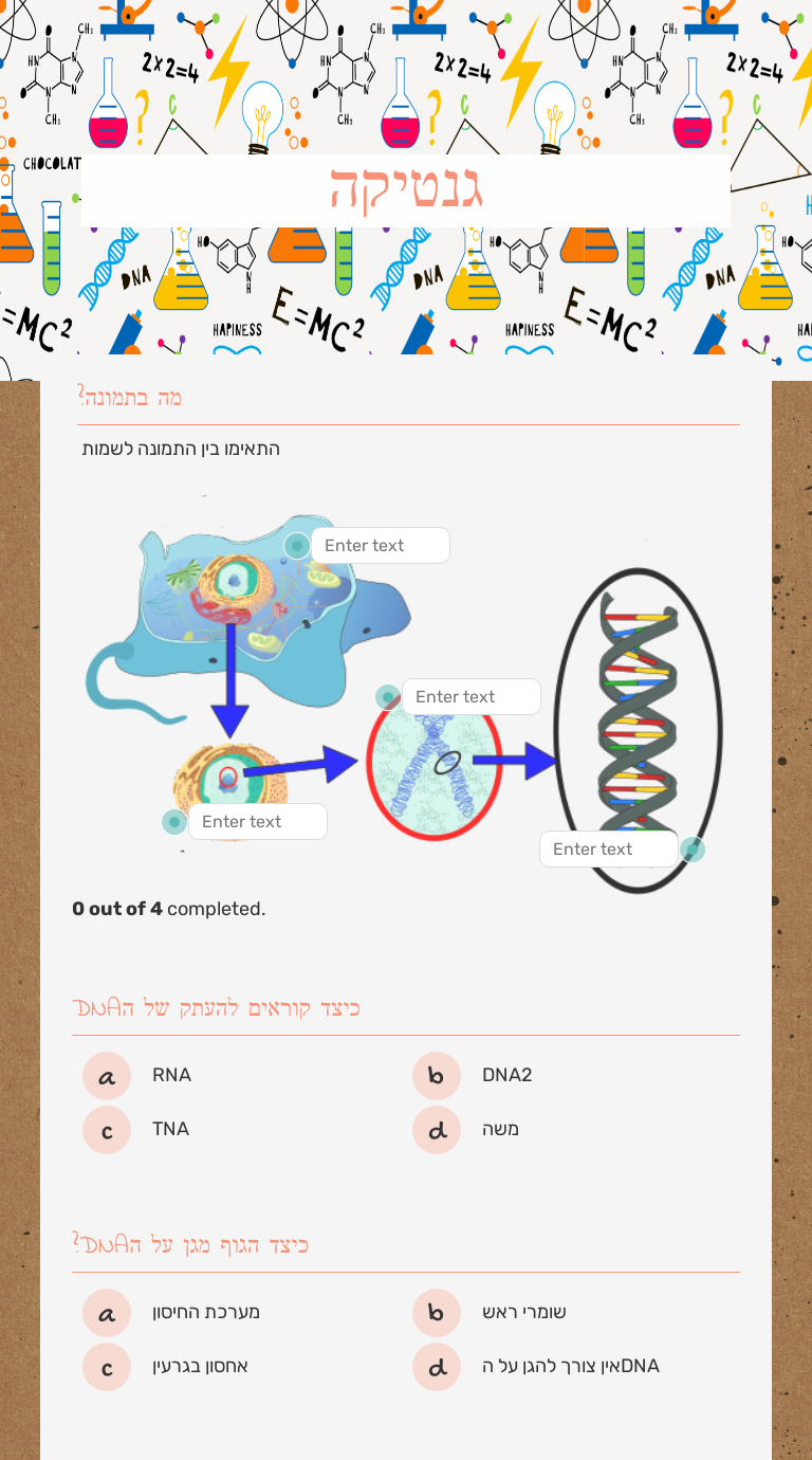 גנטיקה worksheet preview