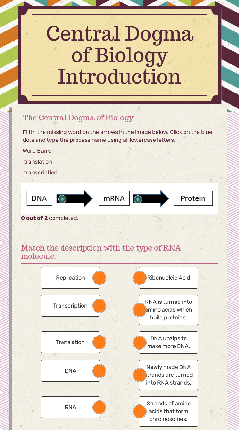 central-dogma-of-biology-introduction-interactive-worksheet-by