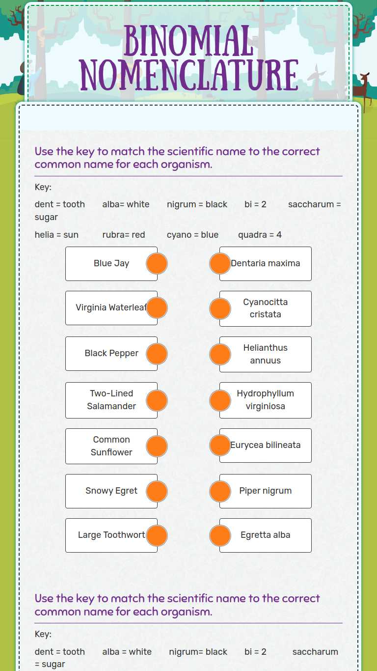 Binomial Nomenclature Interactive Worksheet by Karen Burke Wizer me Binomial Nomenclature Interactive Worksheet by Karen Burke Wizer me