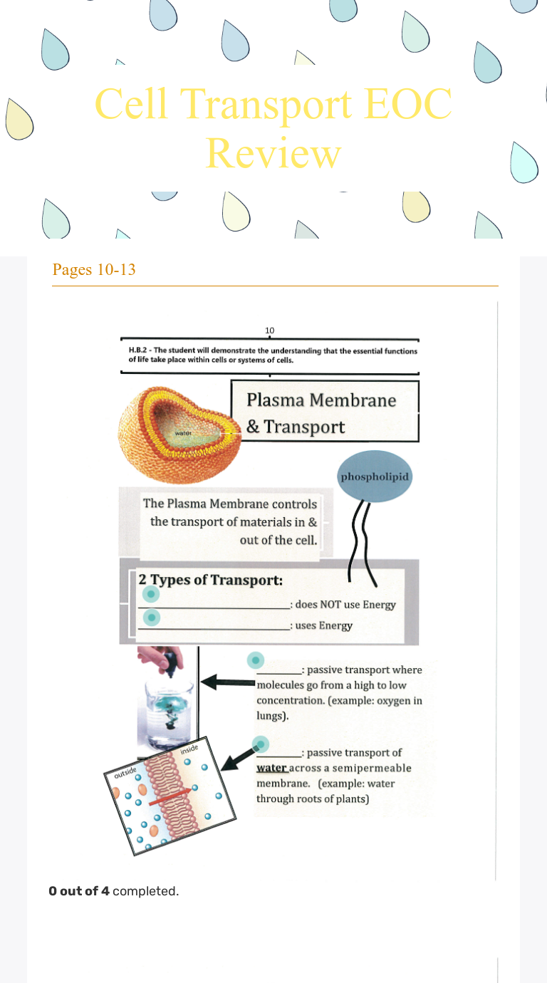 cell-transport-eoc-review-interactive-worksheet-by-christina-emmons