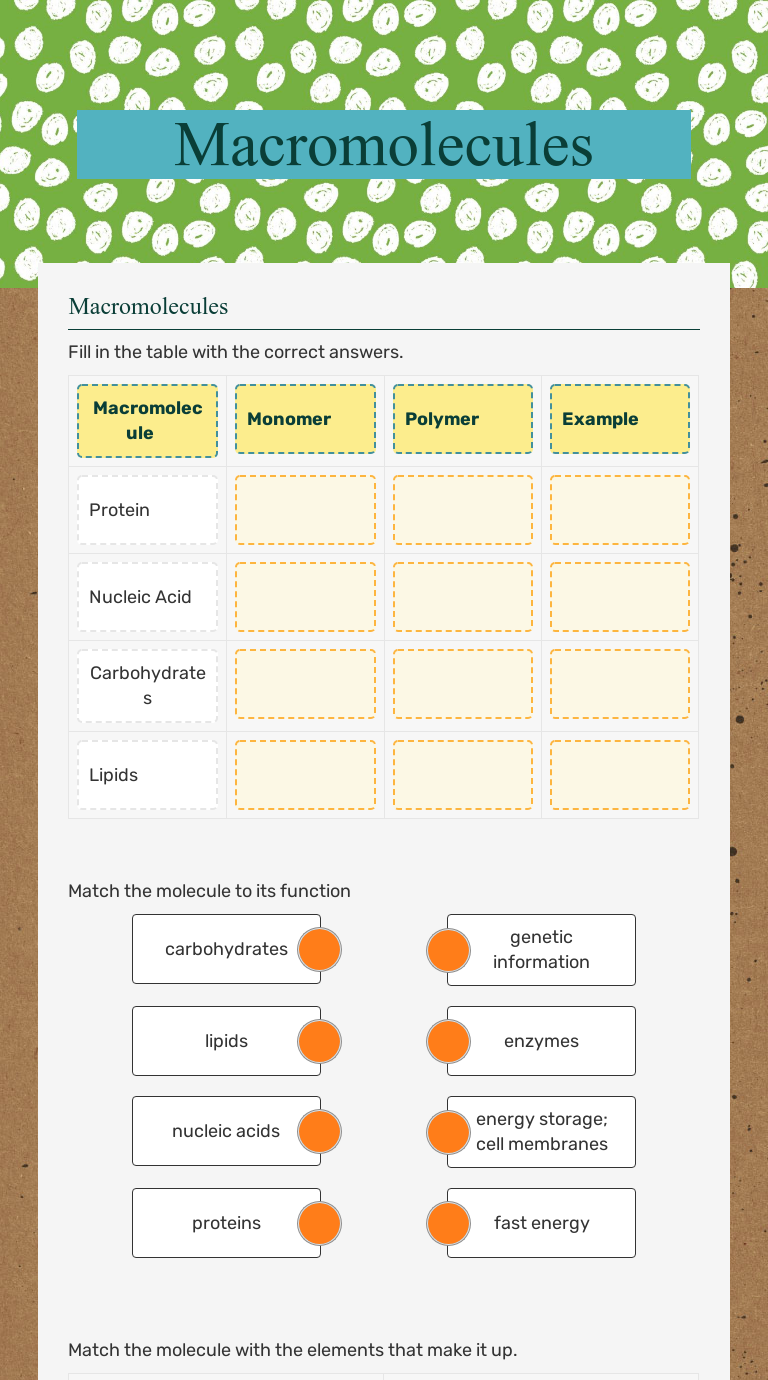 Macromolecules | Interactive Worksheet by Casey Whitworth | Wizer.me