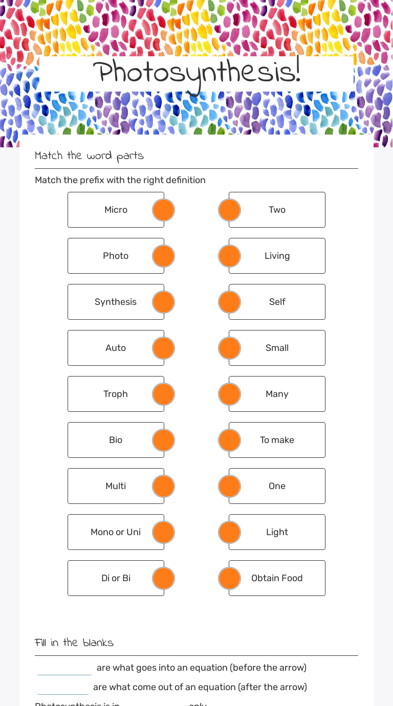 Photosynthesis! worksheet preview image