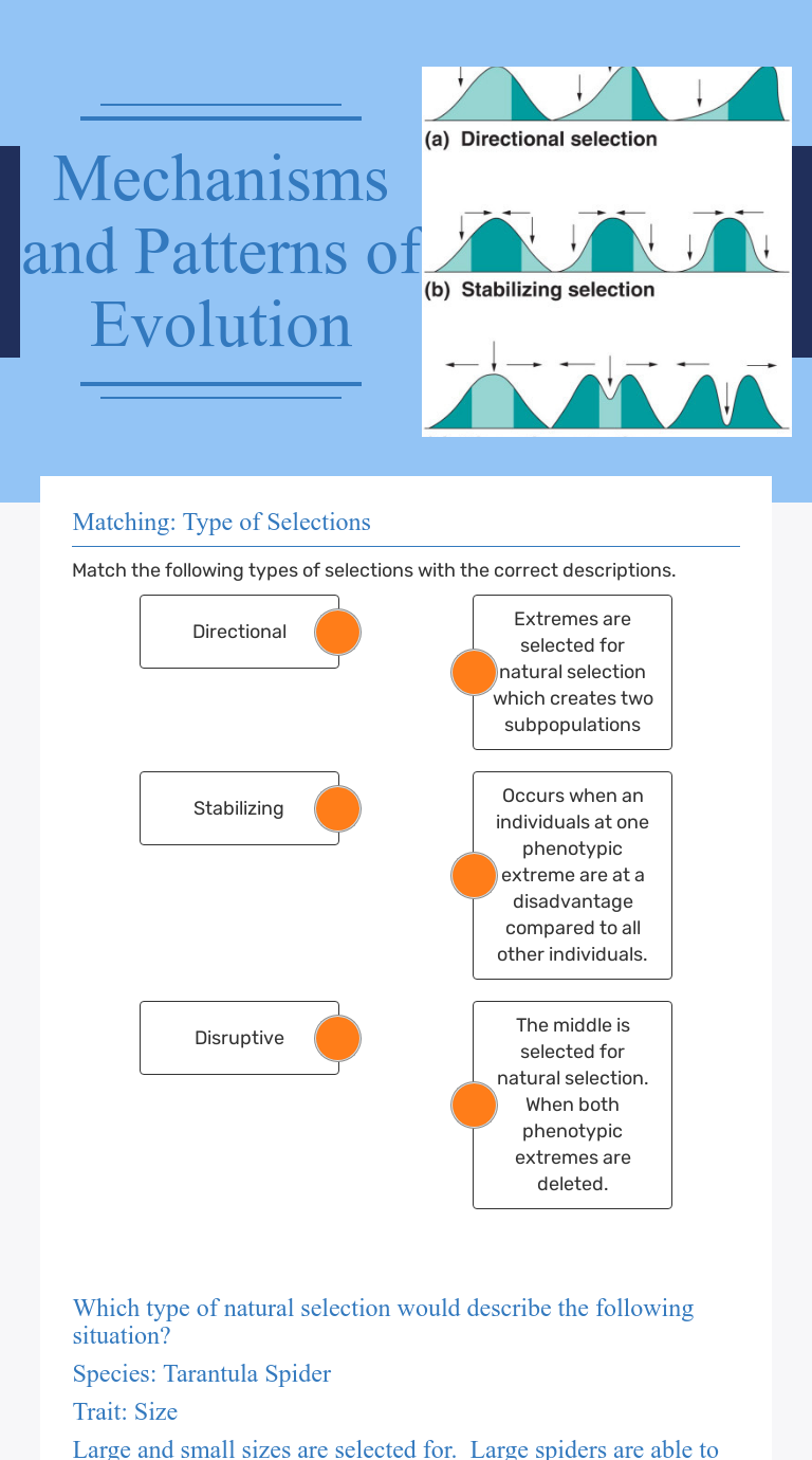 Mechanisms and Patterns of Evolution  Interactive Worksheet by With Regard To Types Of Evolution Worksheet