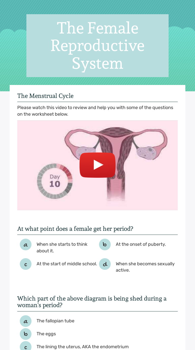 The Female Reproductive System | Interactive Worksheet By Staci ...