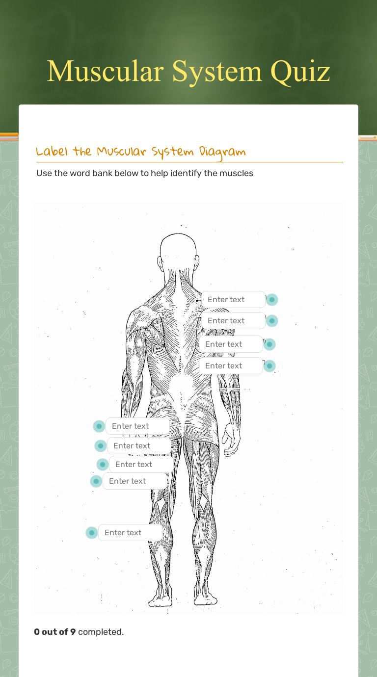 Muscular System Quiz | Interactive Worksheet By Jonathan Rich | Wizer.me