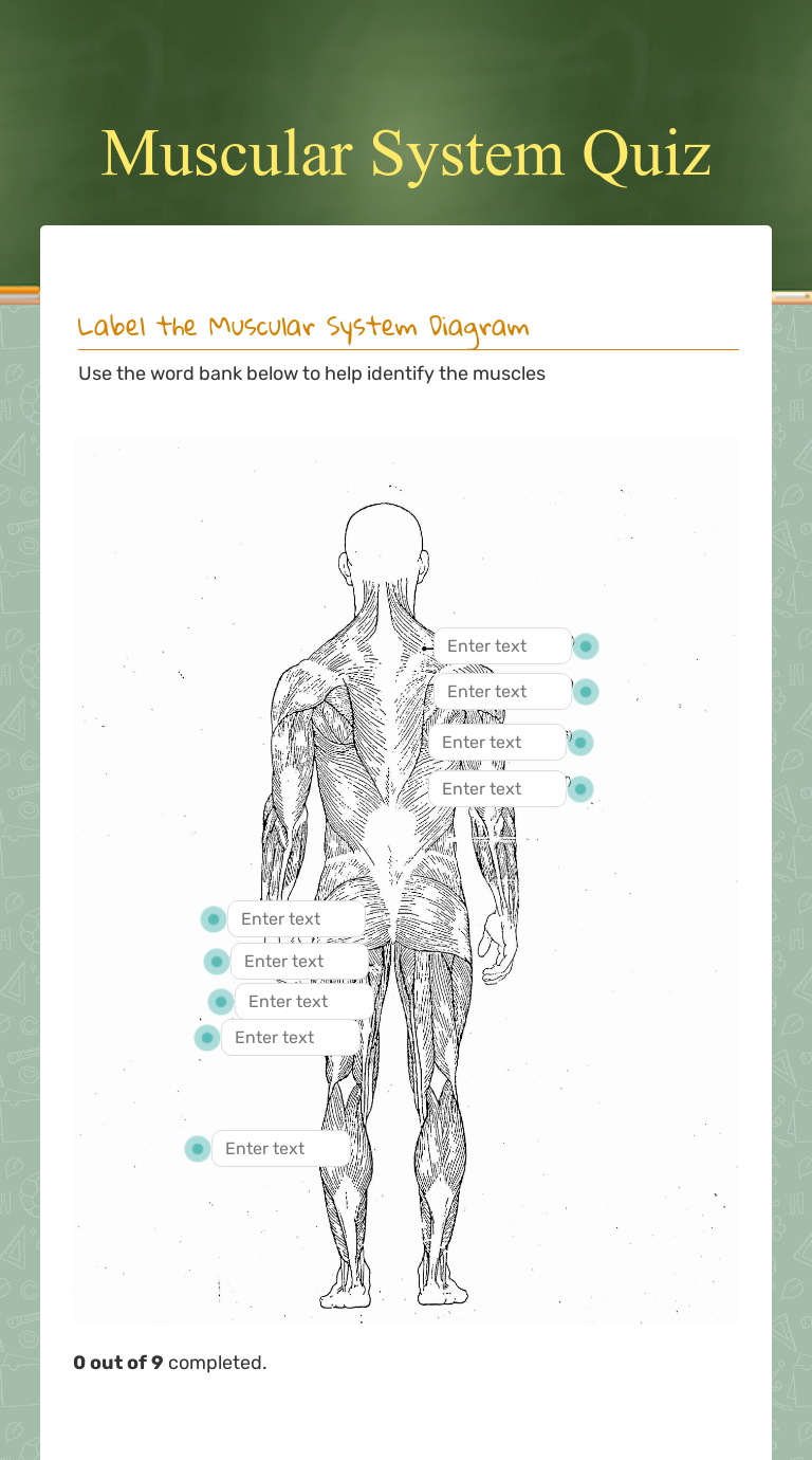 Muscular System Quiz Interactive Worksheet by Jonathan Rich Wizer.me