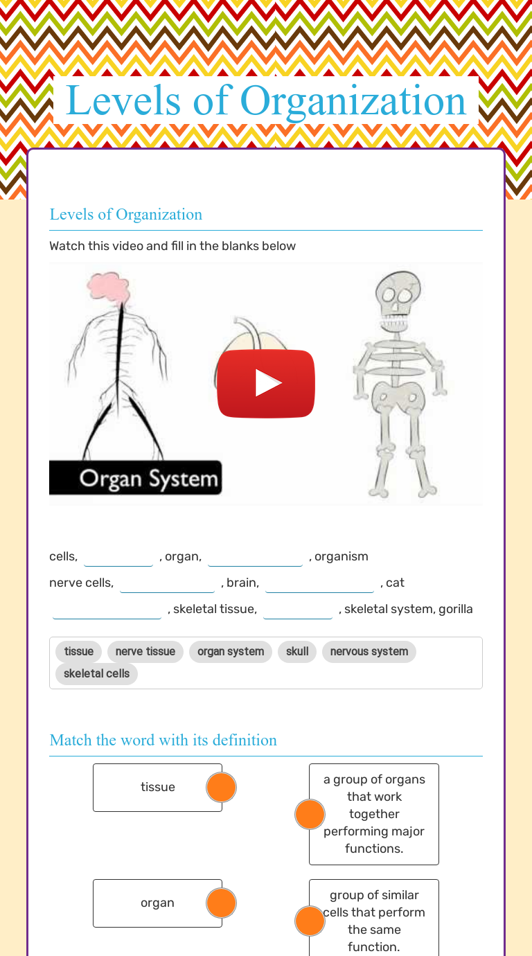 Levels of Organization Interactive Worksheet by Angela Edmonds Wizer.me
