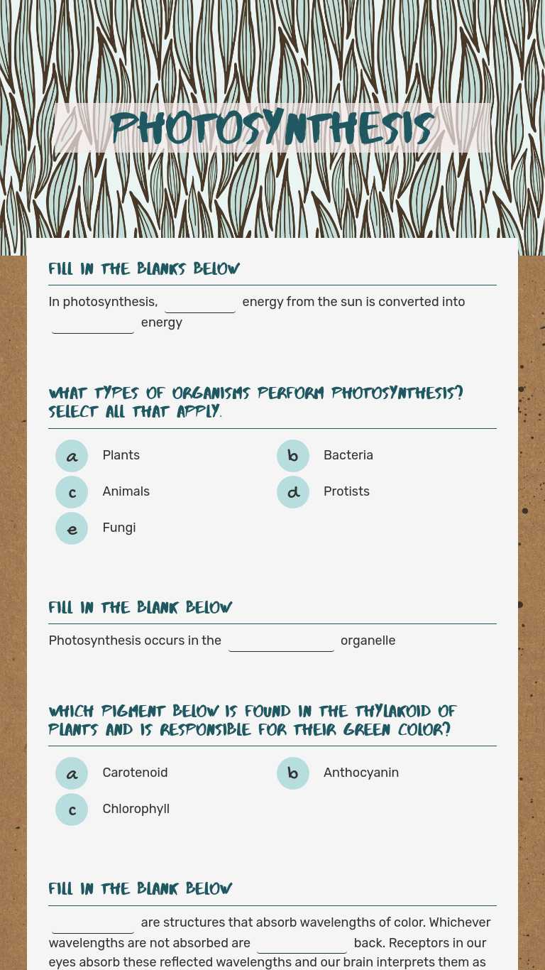 photosynthesis-interactive-worksheet-by-kara-fox-wizer-me