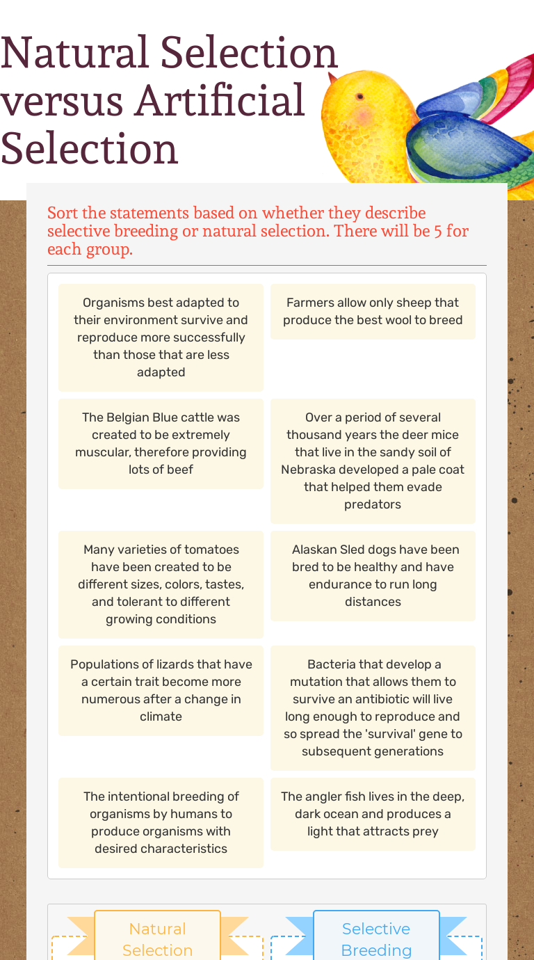 natural-selection-versus-artificial-selection-interactive-worksheet