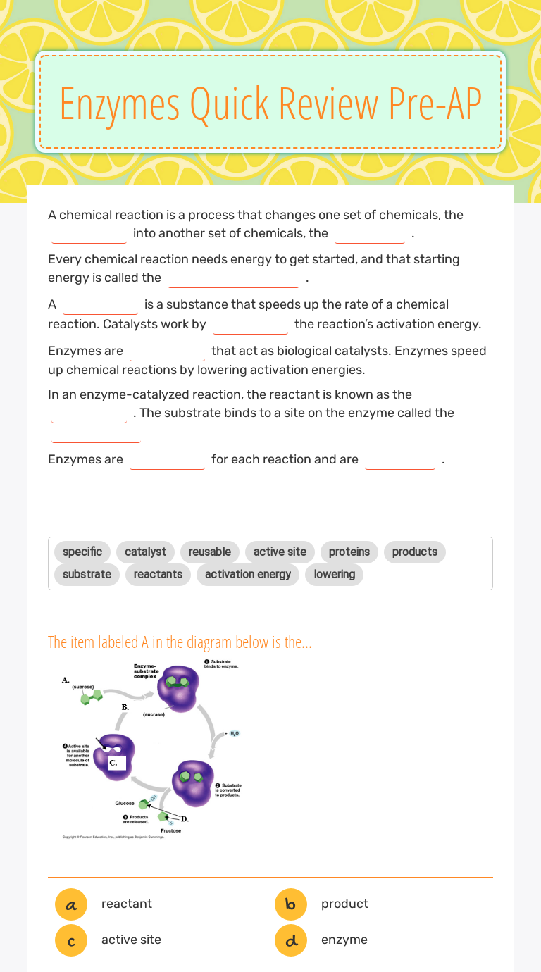 Enzymes Quick Review PreAP Interactive Worksheet by Amanda Daniel