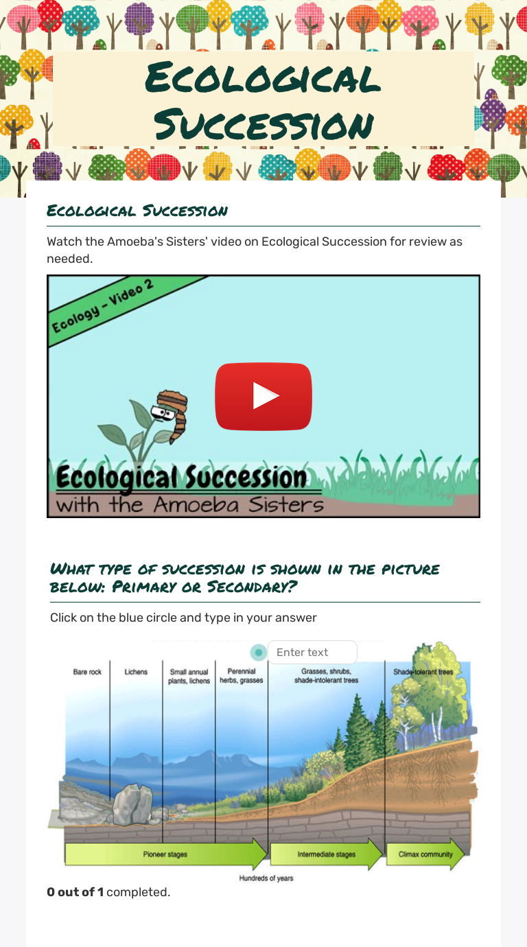 write an essay on ecological succession