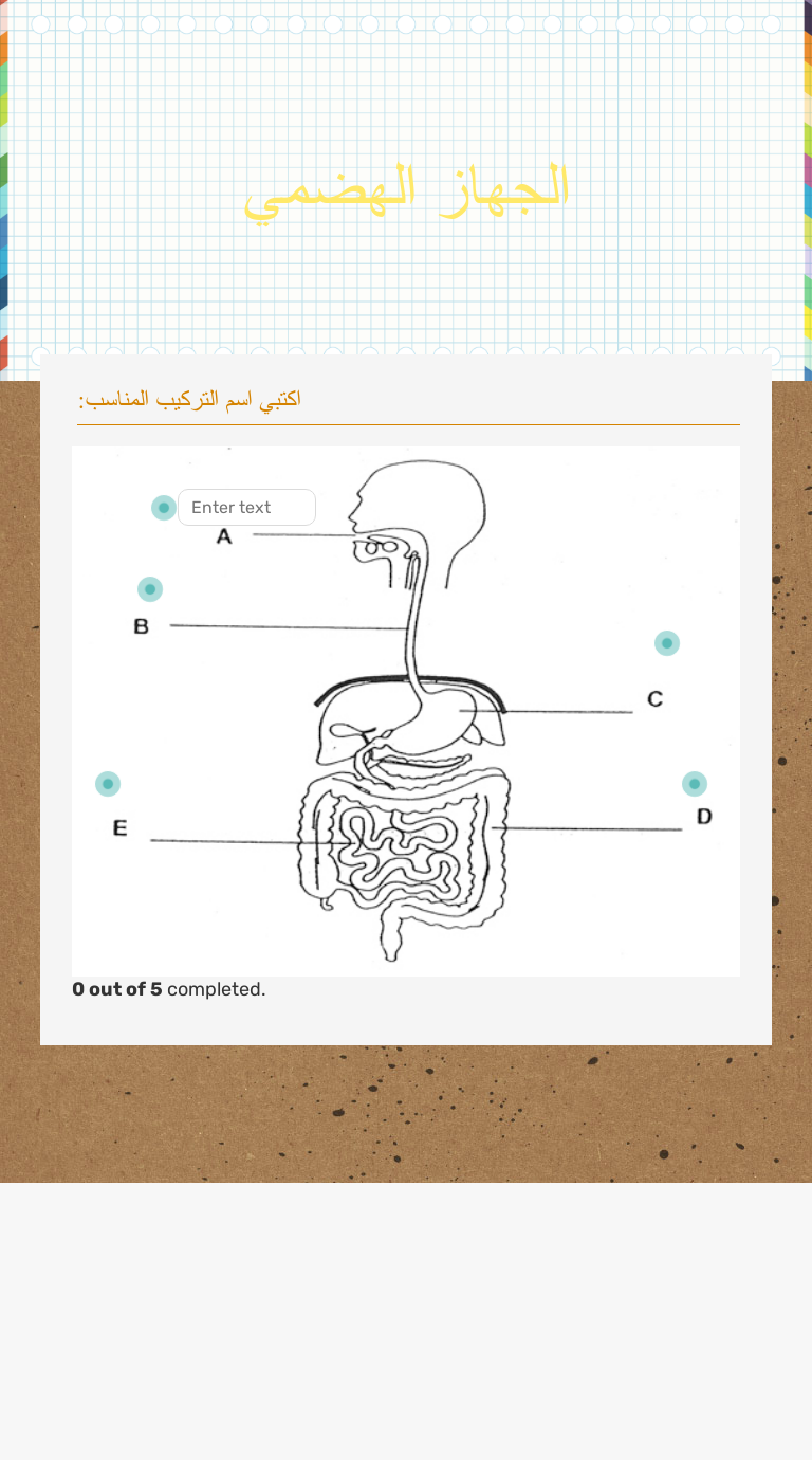 الجهاز الهضمي worksheet preview image