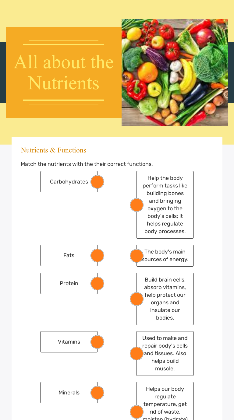 all-about-the-nutrients-interactive-worksheet-by-clare-hogan-wizer-me