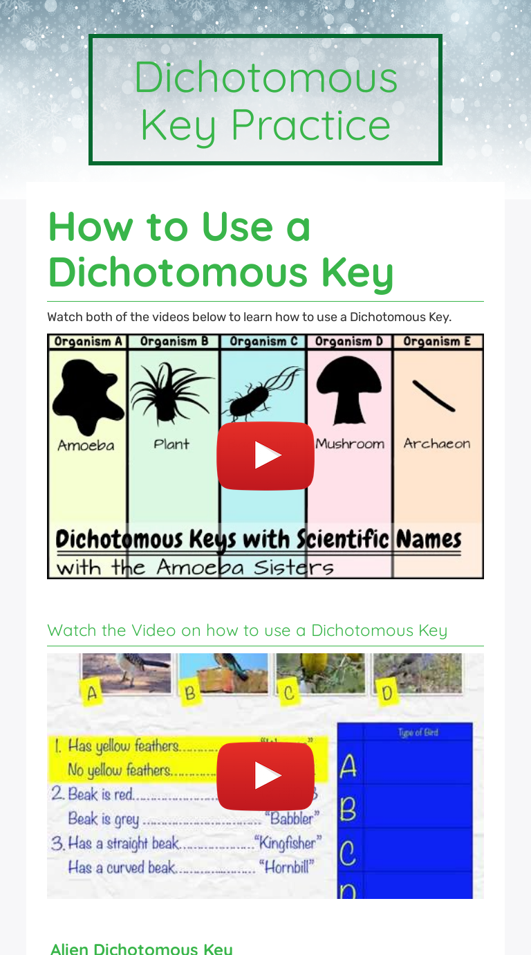 dichotomous-key-practice-interactive-worksheet-by-aneisha-turner-wizer-me