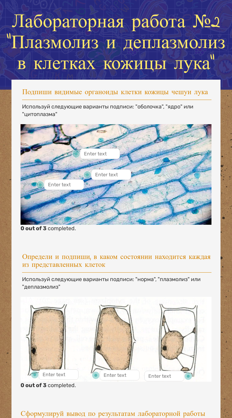 Плазмолиз и деплазмолиз в клетках