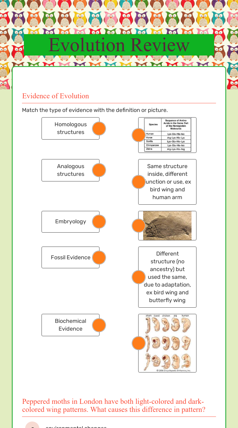 Evolution Review Interactive Worksheet by Jolynn Shull Wizer.me