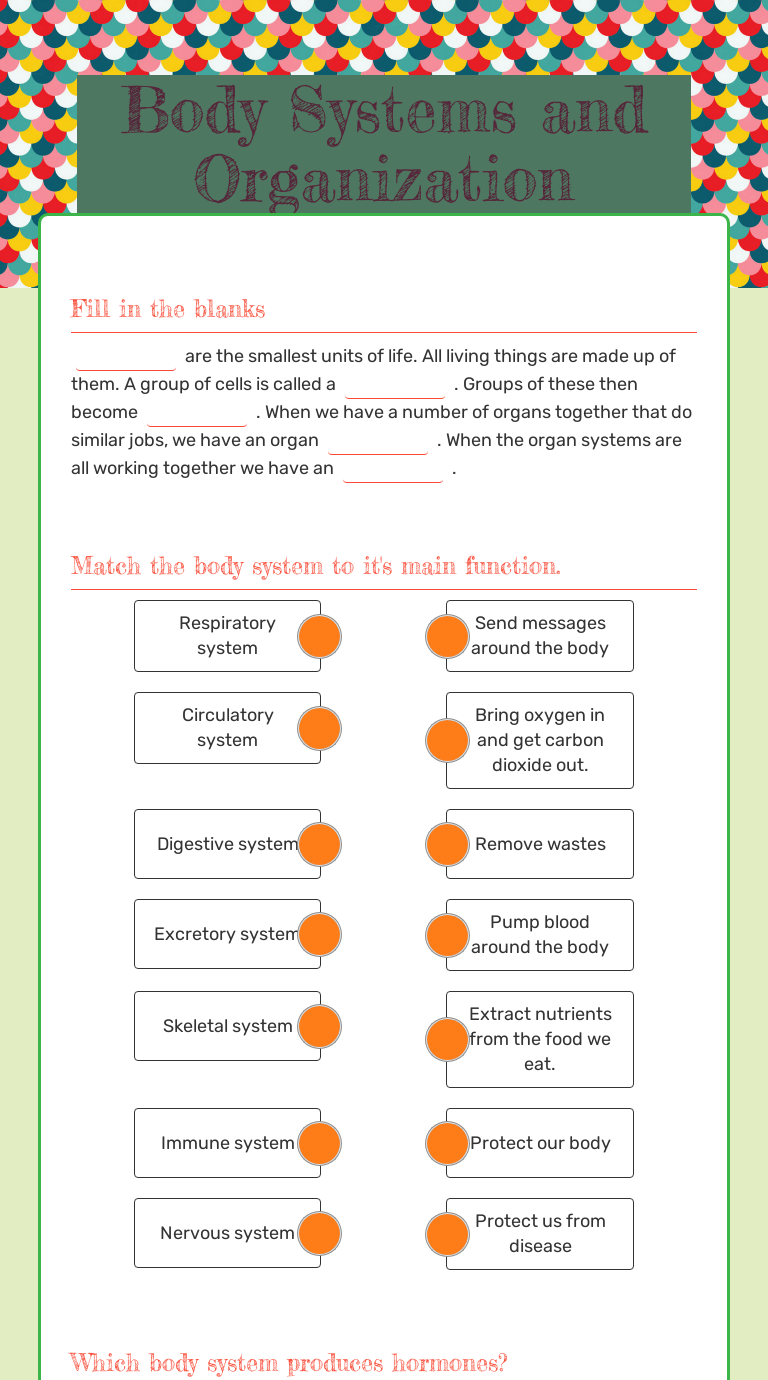 Organization And Body Systems Worksheet Answers