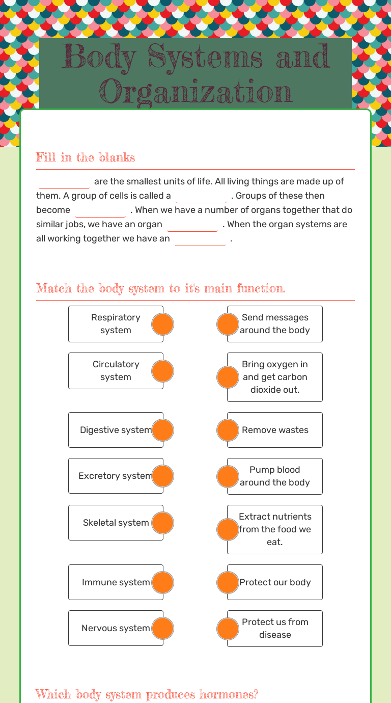 body-organization-and-terminology-worksheet