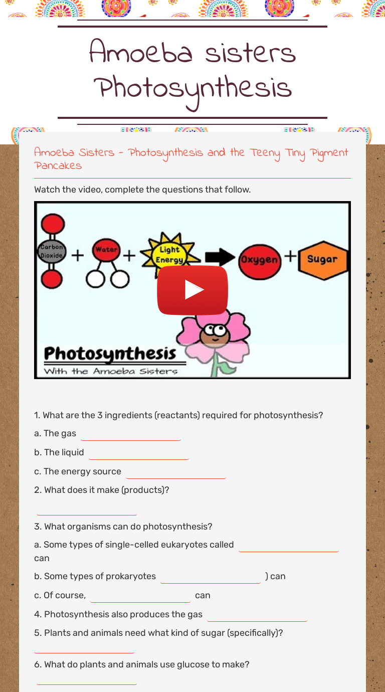 amoeba-sisters-photosynthesis-worksheet-answers-lawiieditions