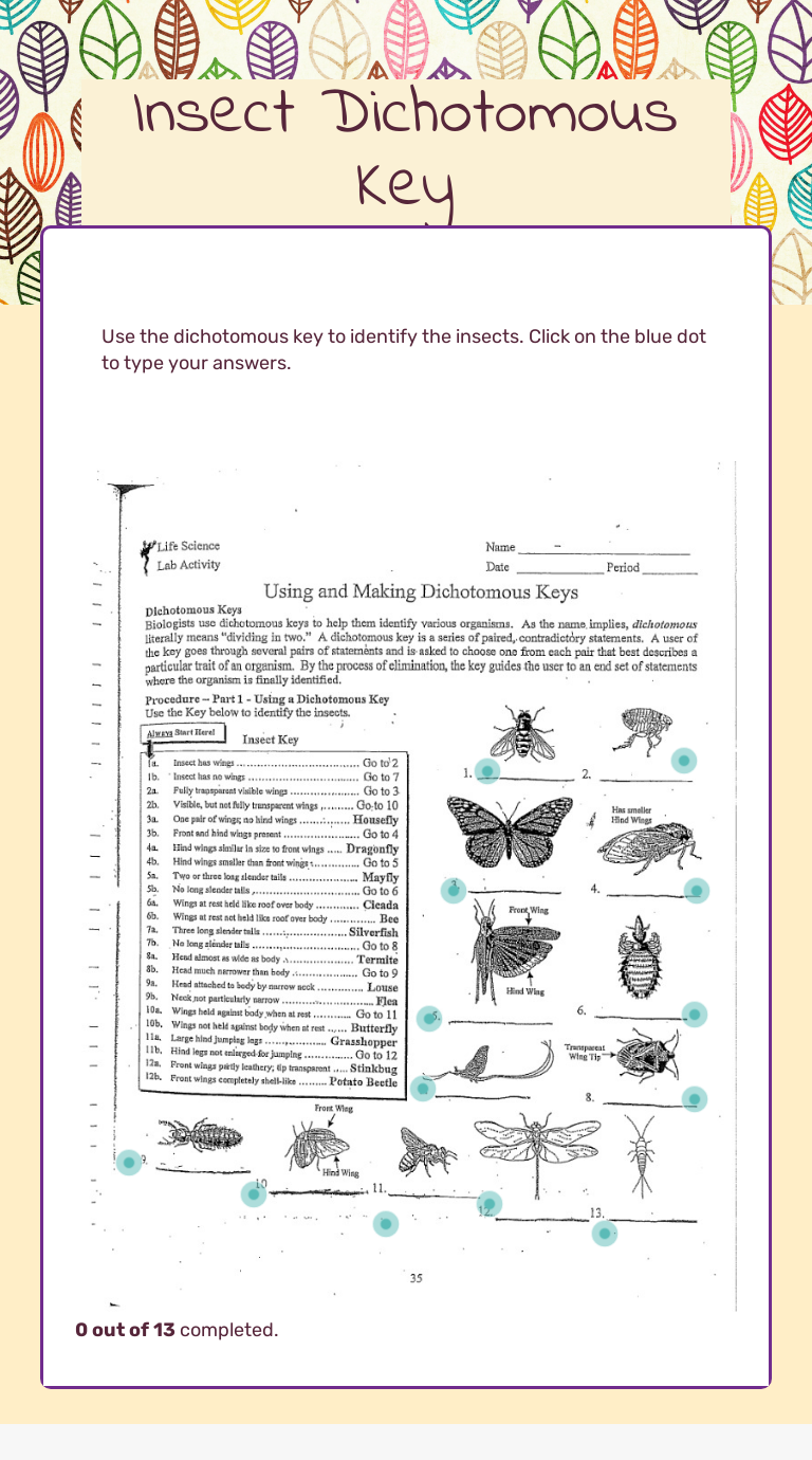 Insect Dichotomous Key  Interactive Worksheet by Kathleen Kopp With Regard To Dichotomous Key Worksheet Pdf