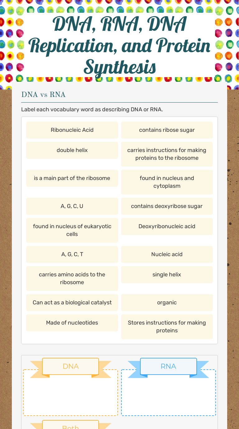 dna-rna-dna-replication-and-protein-synthesis-interactive-worksheet-by-cynthia-cuellar