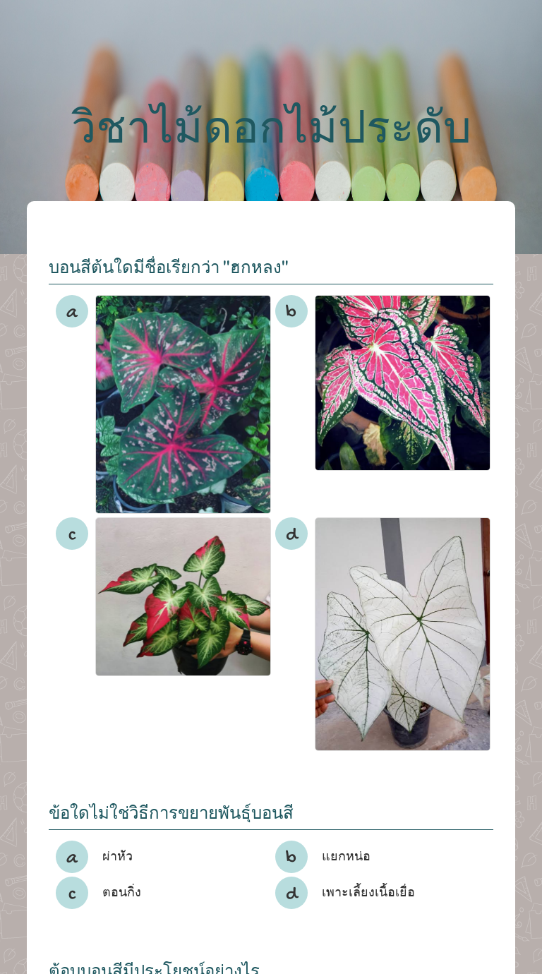 วิชาไม้ดอกไม้ประดับ worksheet preview image