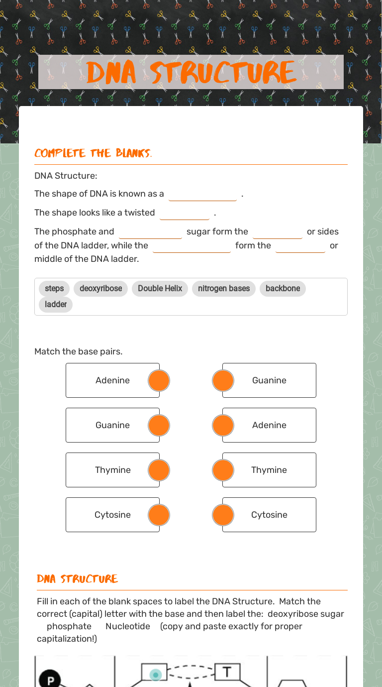 DNA Structure worksheet