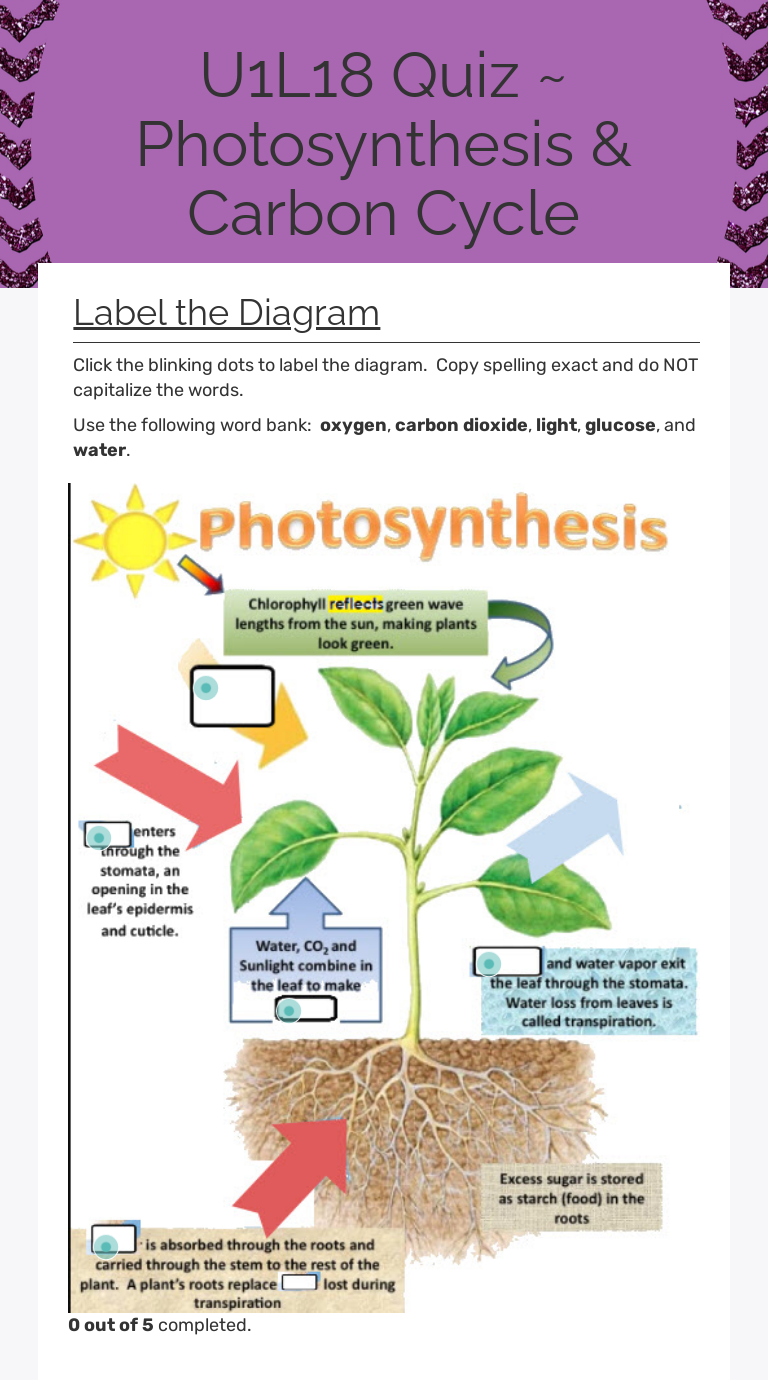 Carbon Cycle Interactive Worksheet Answer Key