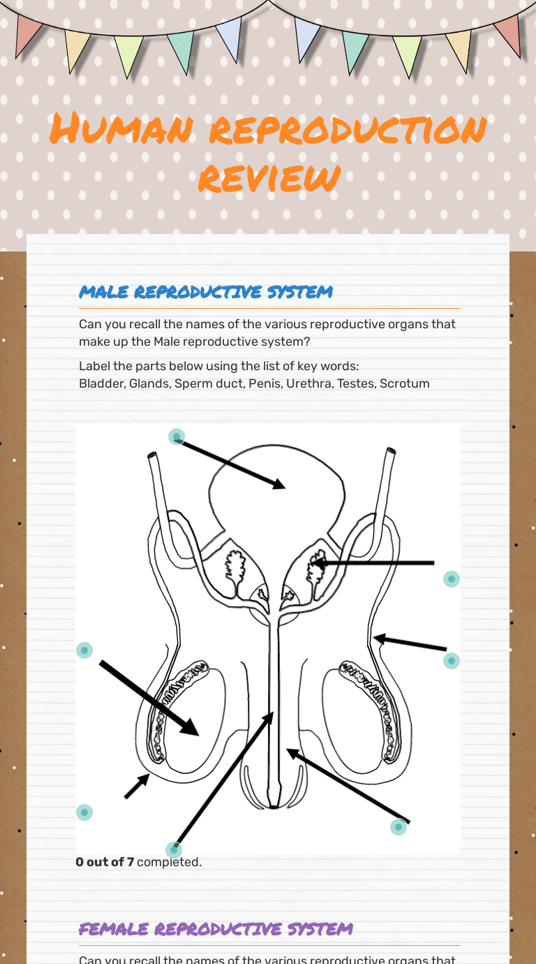Human reproduction review | Interactive Worksheet by ANN DANIEL | Wizer.me