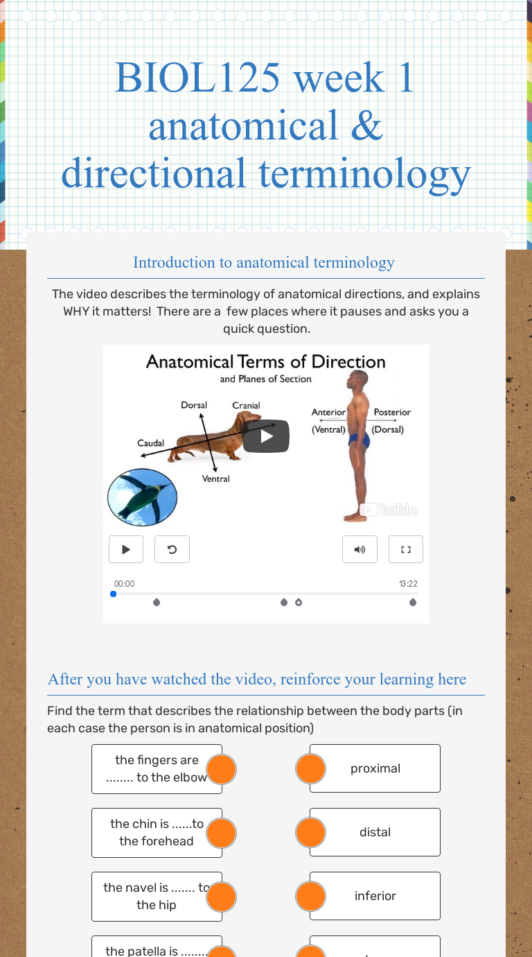 Anatomical Terminology Worksheet Answers : 1 / | Worksheet Nawezivp