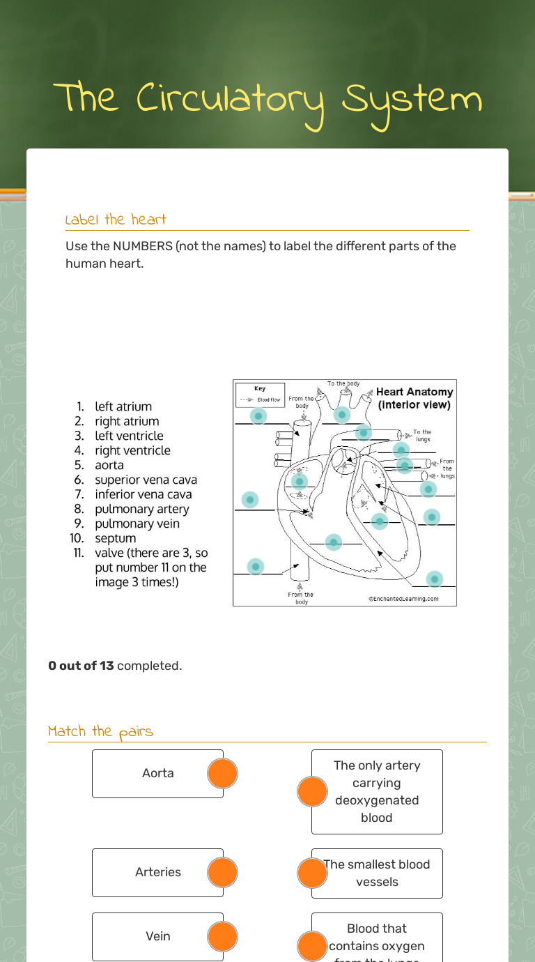 The Circulatory System  Interactive Worksheet by Kelly Hollis With The Circulatory System Worksheet Answers