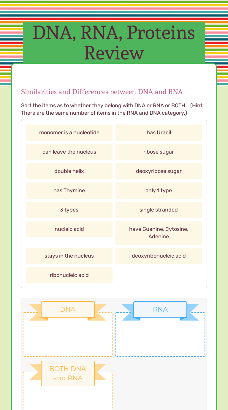 39 rna worksheet mr hoyle Worksheet Resource