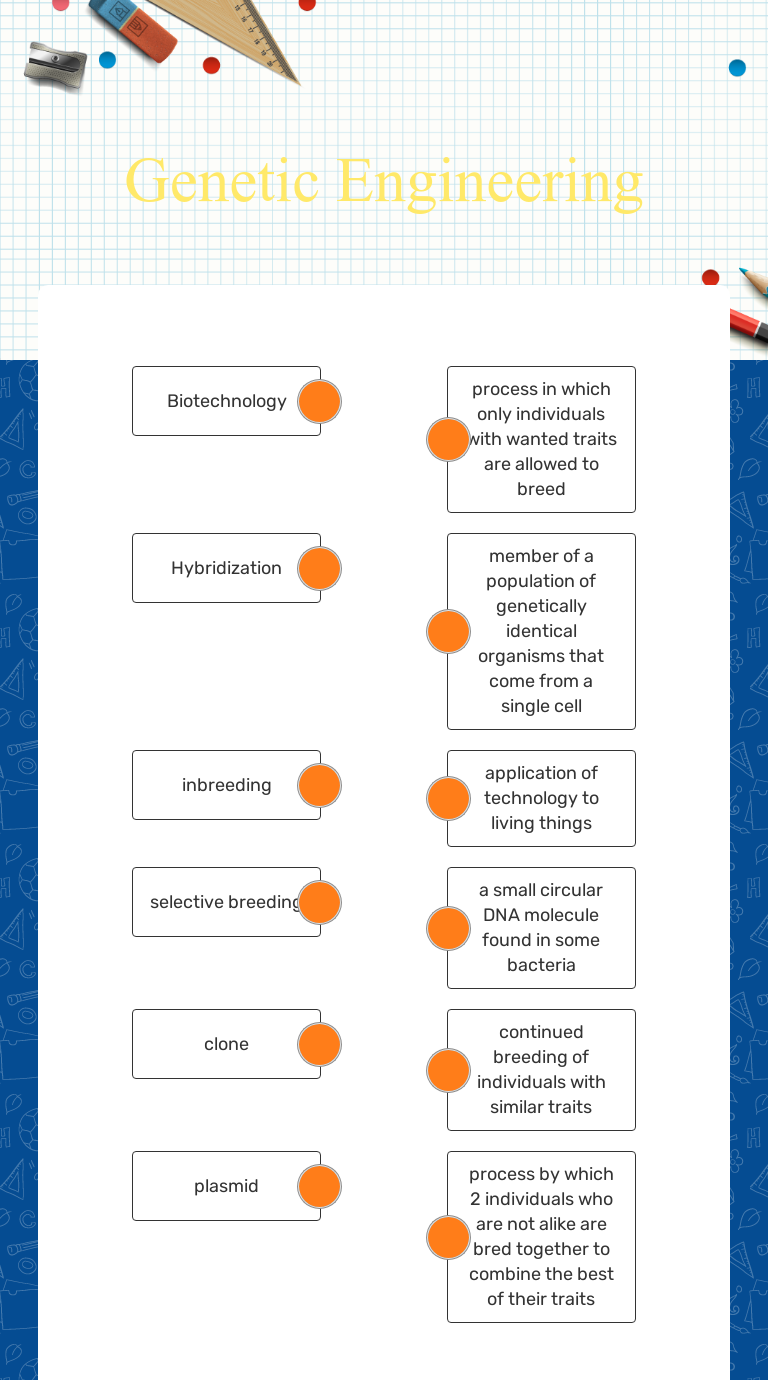 Genetic Engineering Questions Worksheet Answers