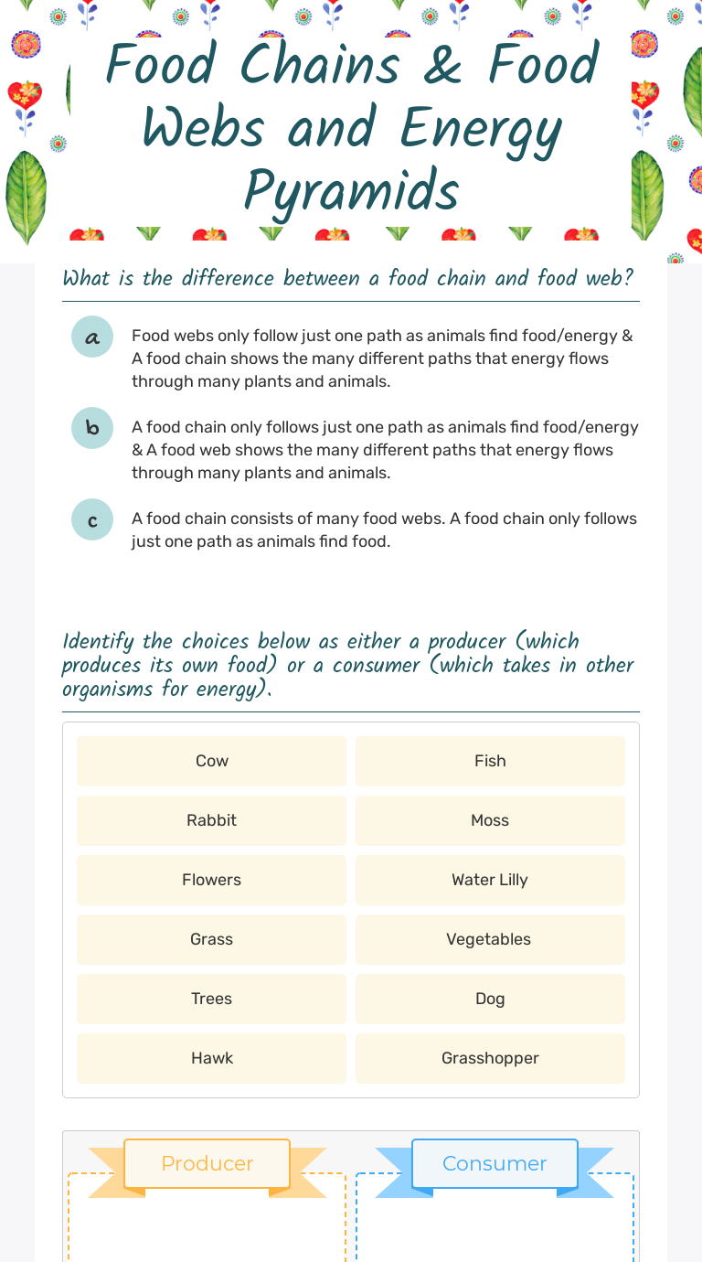 Food Chain Food Webs And Energy Pyramid Worksheets