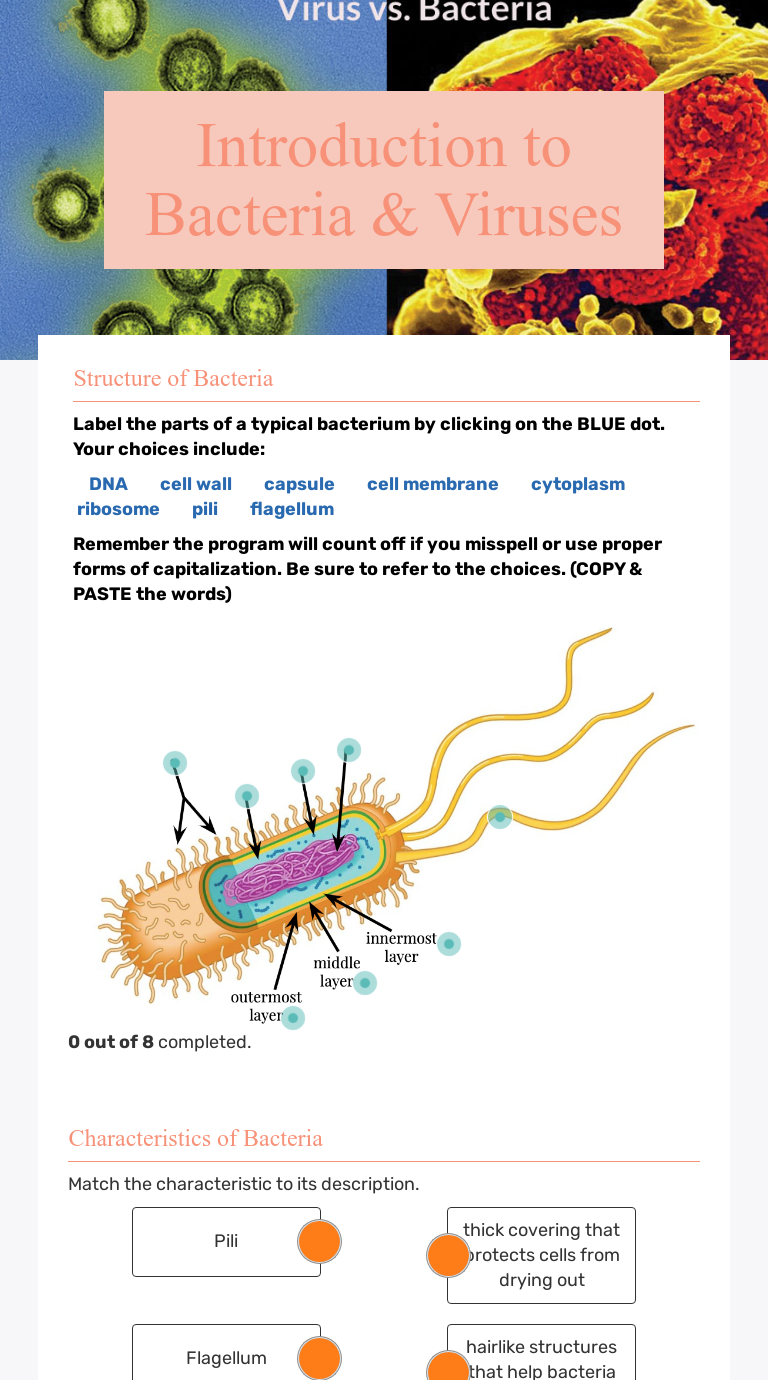 introduction-to-bacteria-viruses-interactive-worksheet-by-tanya-fowler-wizer-me