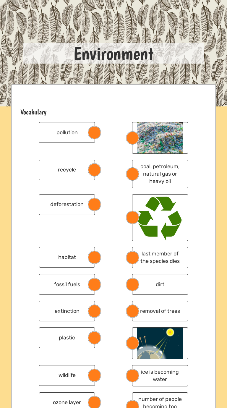 Environment worksheet preview image