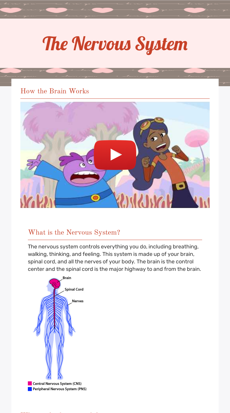 the-nervous-system-interactive-worksheet-by-aneisha-turner-wizer-me