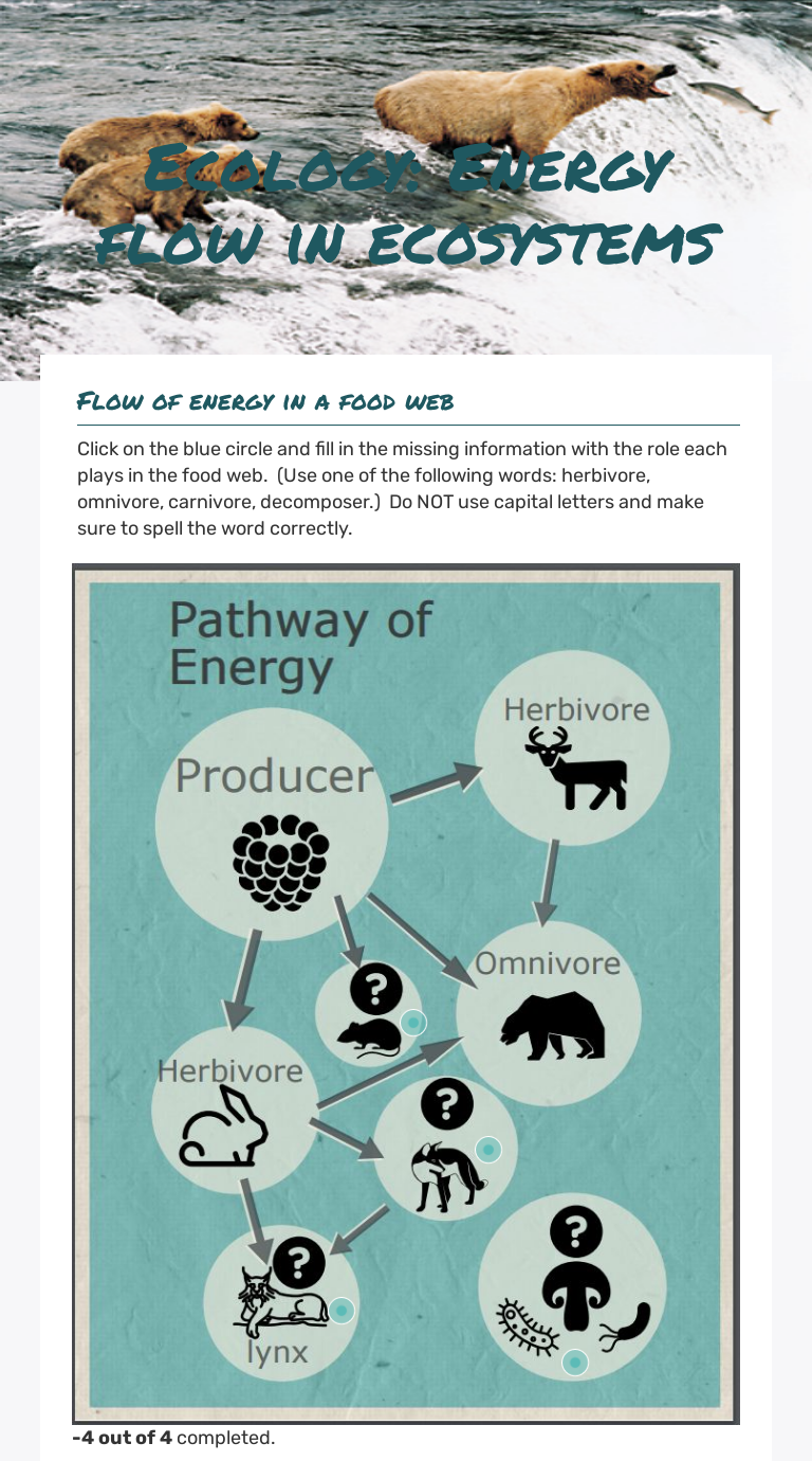 ecology-energy-flow-in-ecosystems-interactive-worksheet-by-jasmine