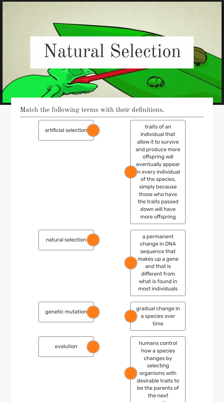 Natural Selection Interactive Worksheet by Dustin Root Wizer me