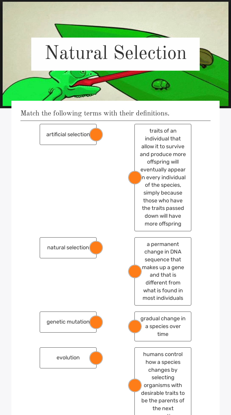 Natural Selection Interactive Worksheet by Dustin Root Wizer.me