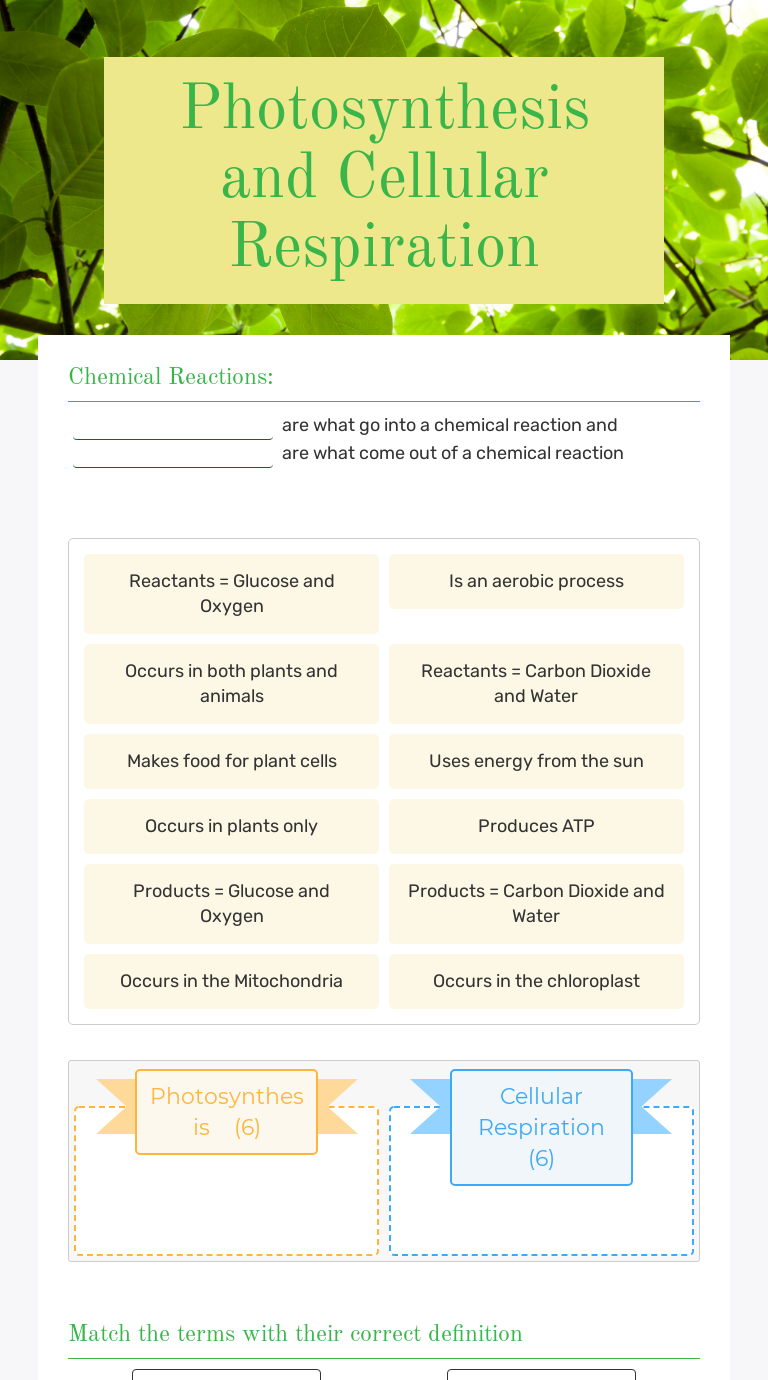 Photosynthesis And Cellular Respiration Interactive Worksheet By Julie Krause Wizer Me