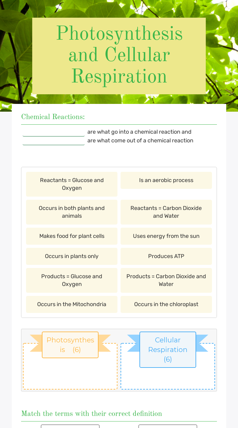 Photosynthesis and Cellular Respiration  Interactive Worksheet by Inside Photosynthesis And Cellular Respiration Worksheet