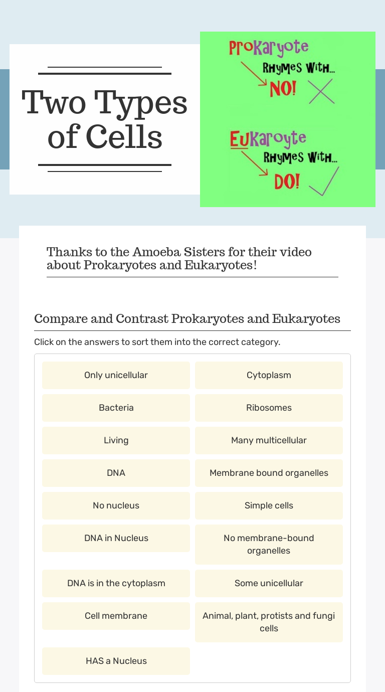 Two Types of Cells  Interactive Worksheet by Julie Daily  Wizer.me Pertaining To Prokaryotes Vs Eukaryotes Worksheet