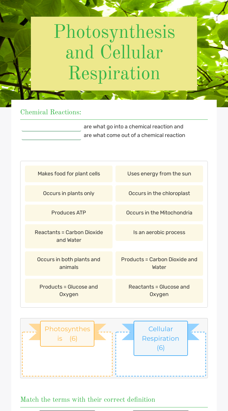 Photosynthesis and Cellular Respiration worksheet preview