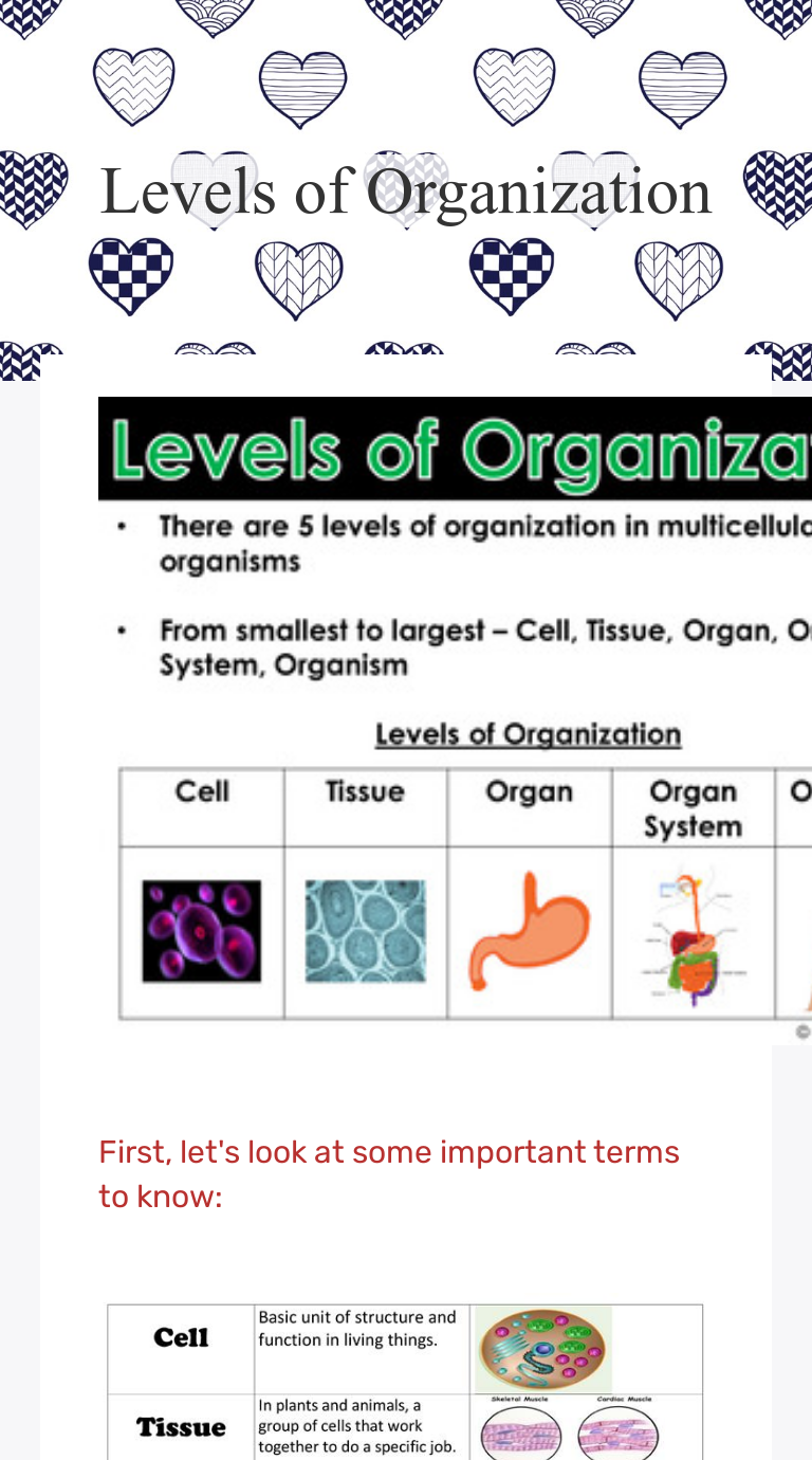 Levels Of Organization Worksheet 7th Grade Pdf