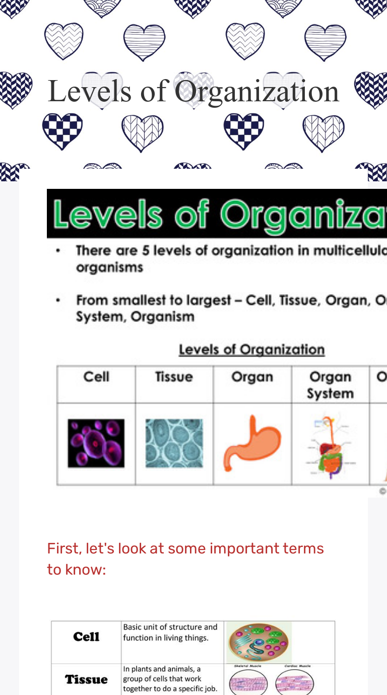 Levels of Organization  Interactive Worksheet by Patrick Jarman Within Levels Of Organization Worksheet
