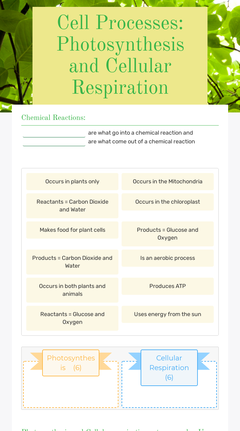 Cell Processes: Photosynthesis and Cellular Respiration | Interactive ...