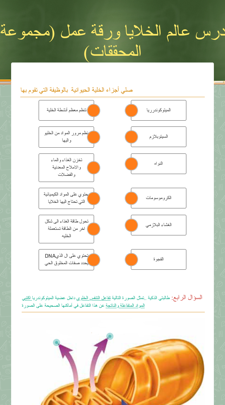درس عالم الخلايا ورقة عمل مجموعة المحققات Interactive Worksheet By Mona Ahmad Wizer Me