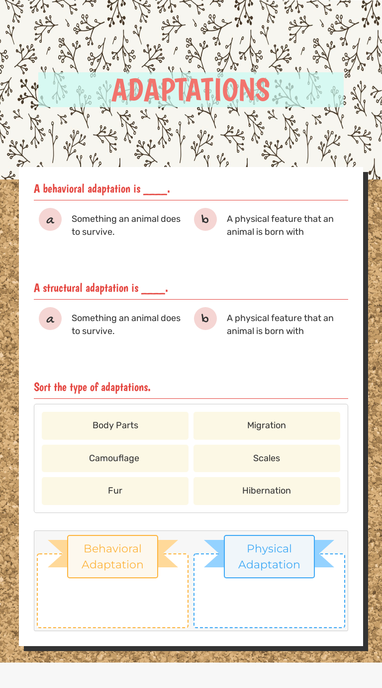ADAPTATIONS Grade 3 worksheet preview