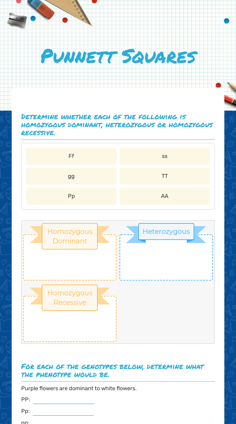 Punnett Squares  Interactive Worksheet by Diana Aljets  Wizer.me For Genotypes And Phenotypes Worksheet